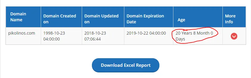 What is domain age